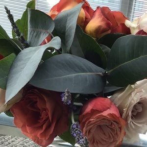 Meet your Posher, Katherine